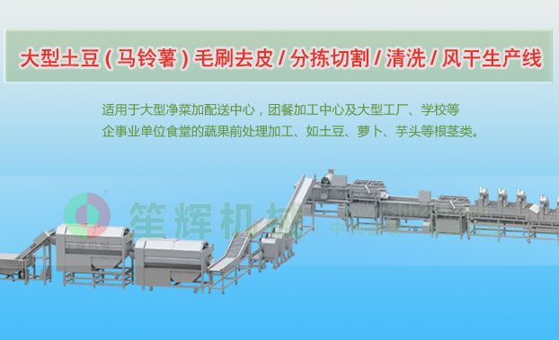 桂平连续式土豆去皮清洗切割风干生产线